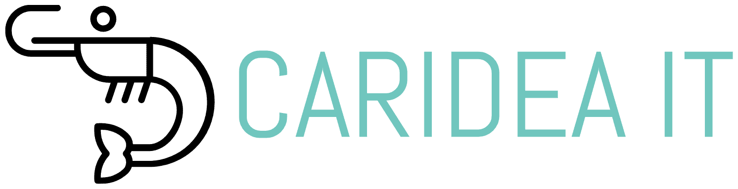 Caridea IT | 20+ år med Business Central | Experter på 365